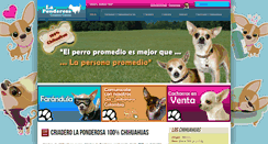 Desktop Screenshot of chihuahuaslaponderosa.com