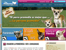 Tablet Screenshot of chihuahuaslaponderosa.com